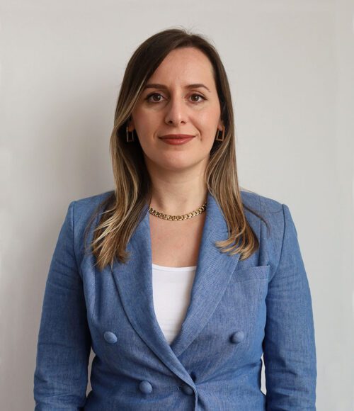 arditahaxhiaj-500x580